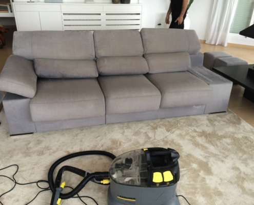 limpieza sofas exito